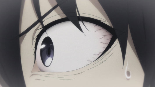 anime loop {solo lvling}